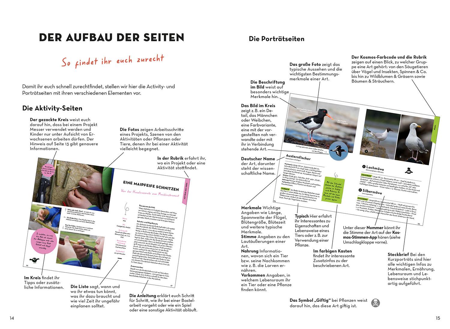 Beispielinhalt (Bild) Familien-Naturführer