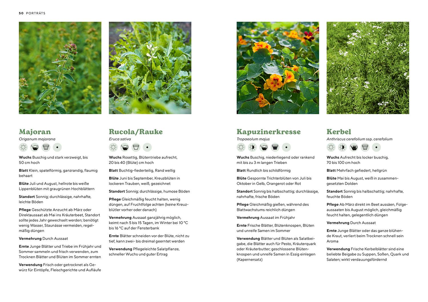 Beispielinhalt (Bild) Kräutergarten