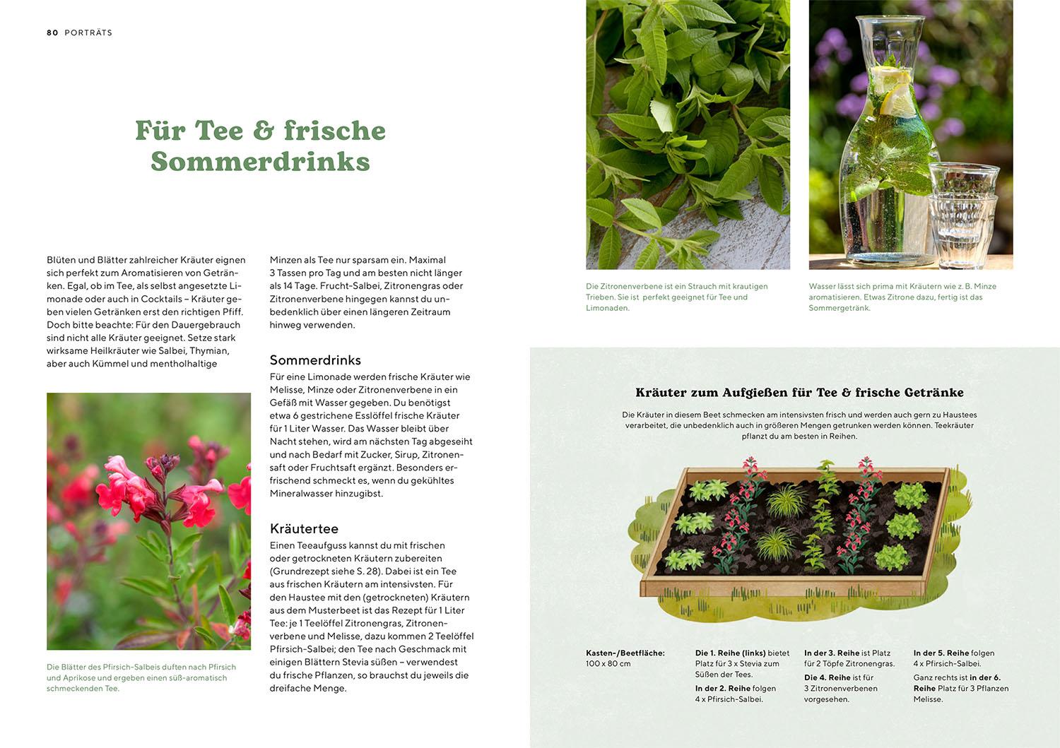 Beispielinhalt (Bild) Kräutergarten