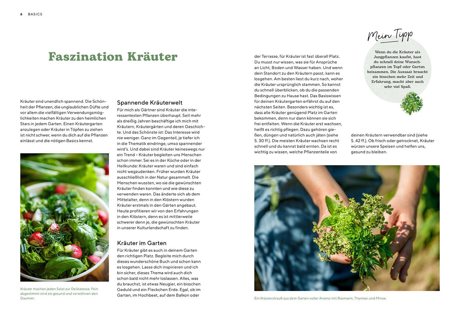 Beispielinhalt (Bild) Kräutergarten