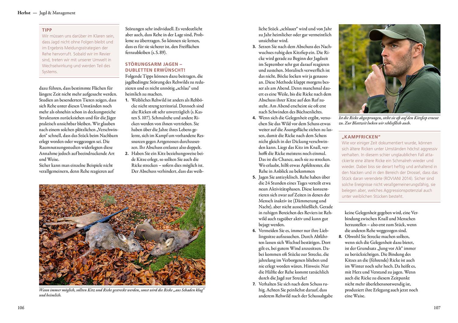 Beispielinhalt (Bild) Auf Rehe jagen