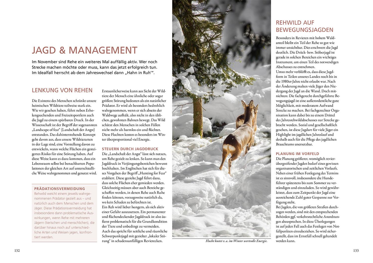 Beispielinhalt (Bild) Auf Rehe jagen