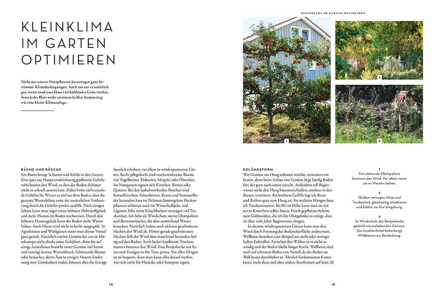 Beispielinhalt (Bild) Trockenhelden im Gemüsebeet