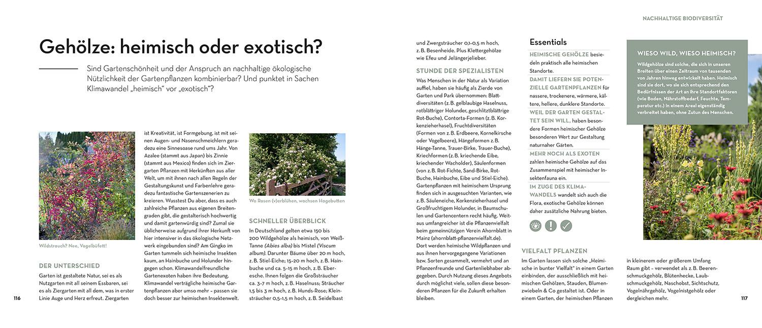 Beispielinhalt (Bild) Der Spaten muss warten