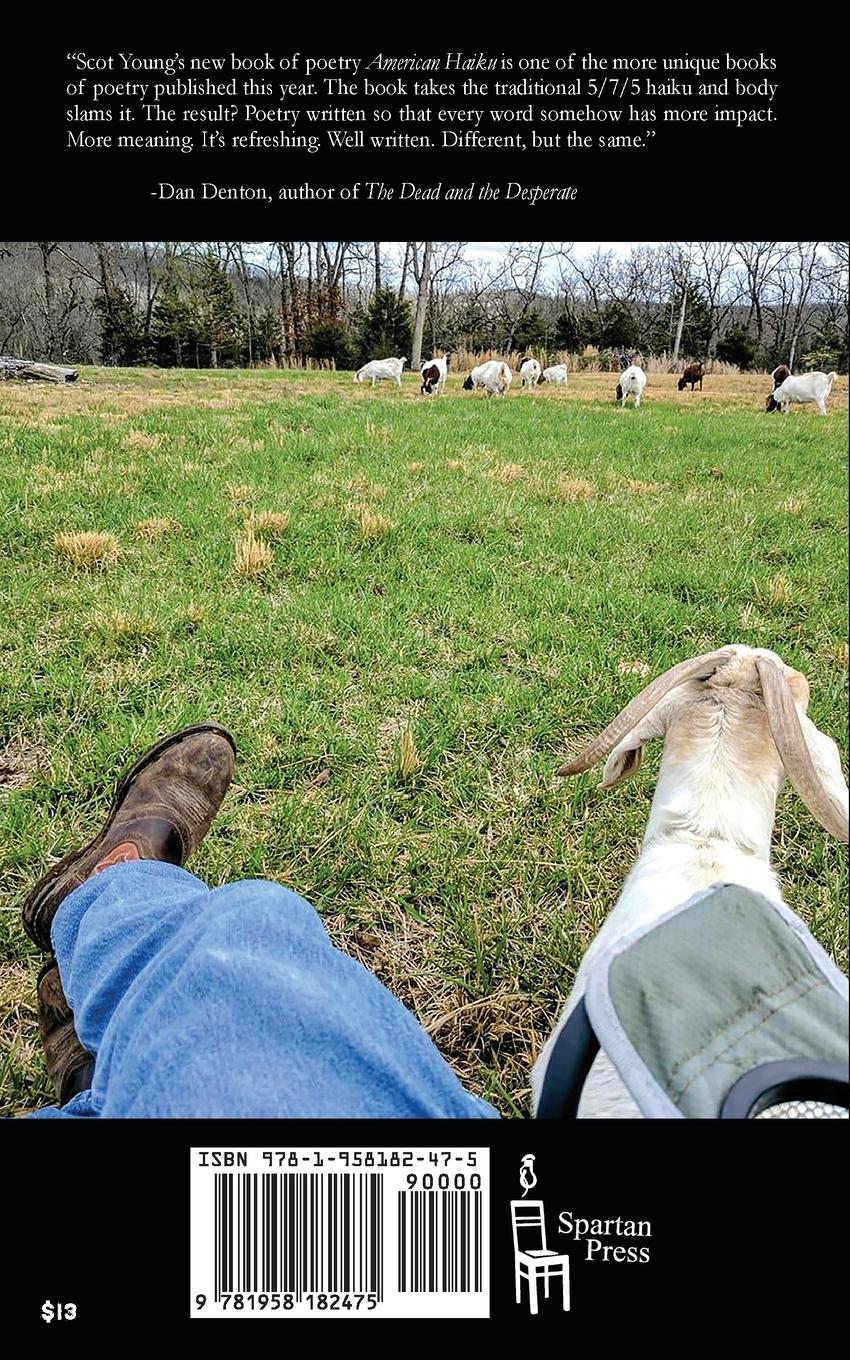 Rückseitencover American Haiku