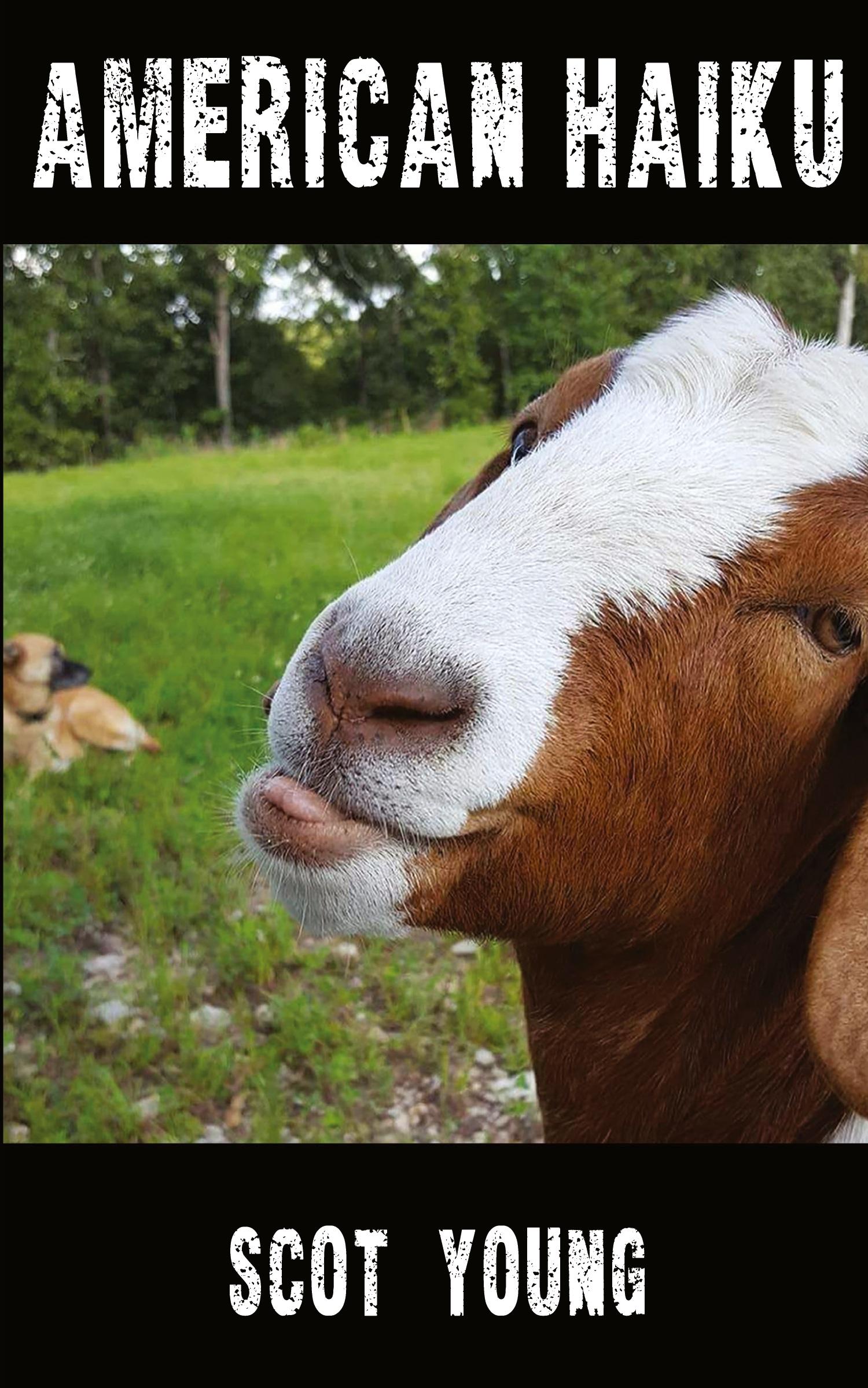 Vorderes Coverbild American Haiku