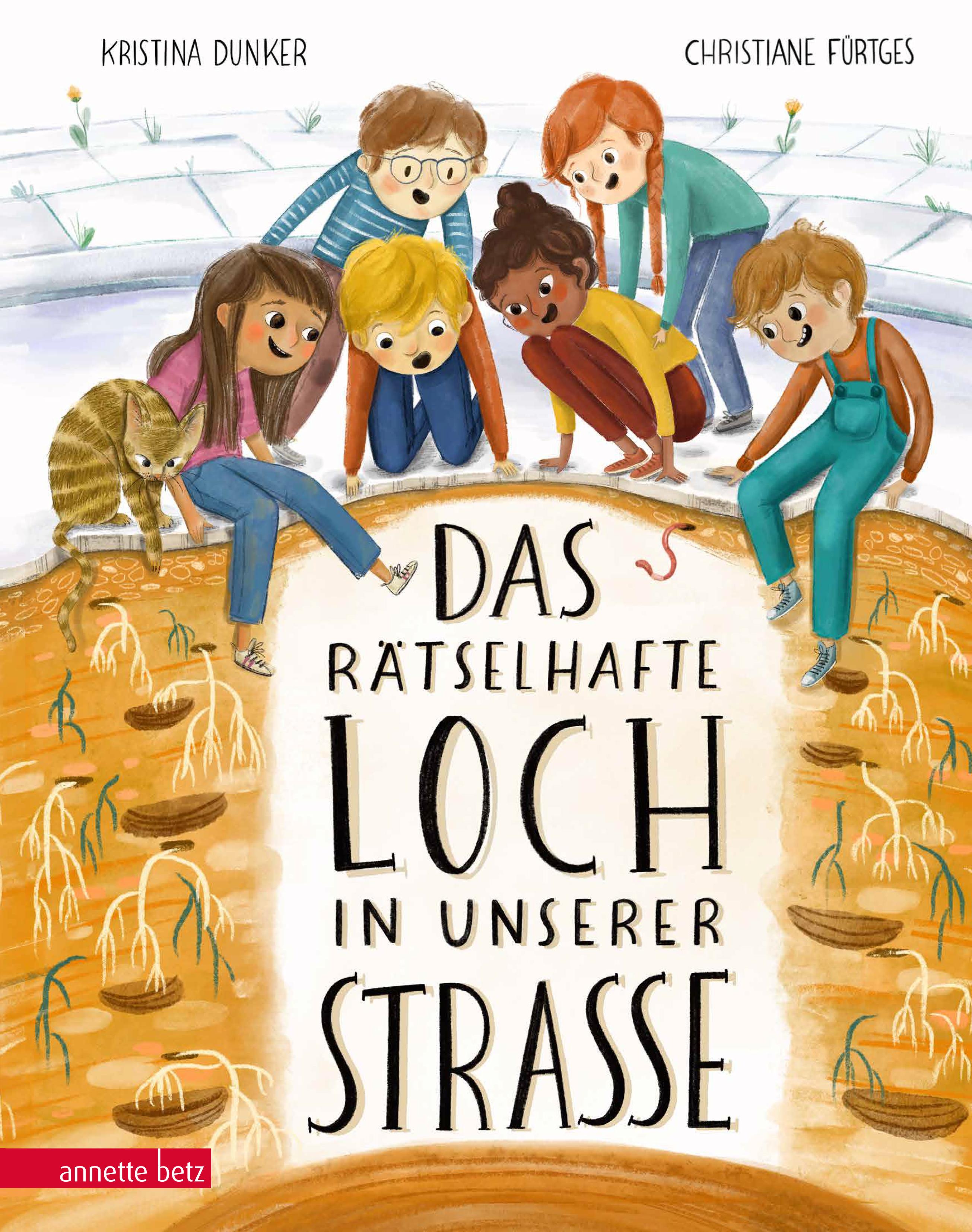 Vorderes Coverbild Das rätselhafte Loch in unserer Straße