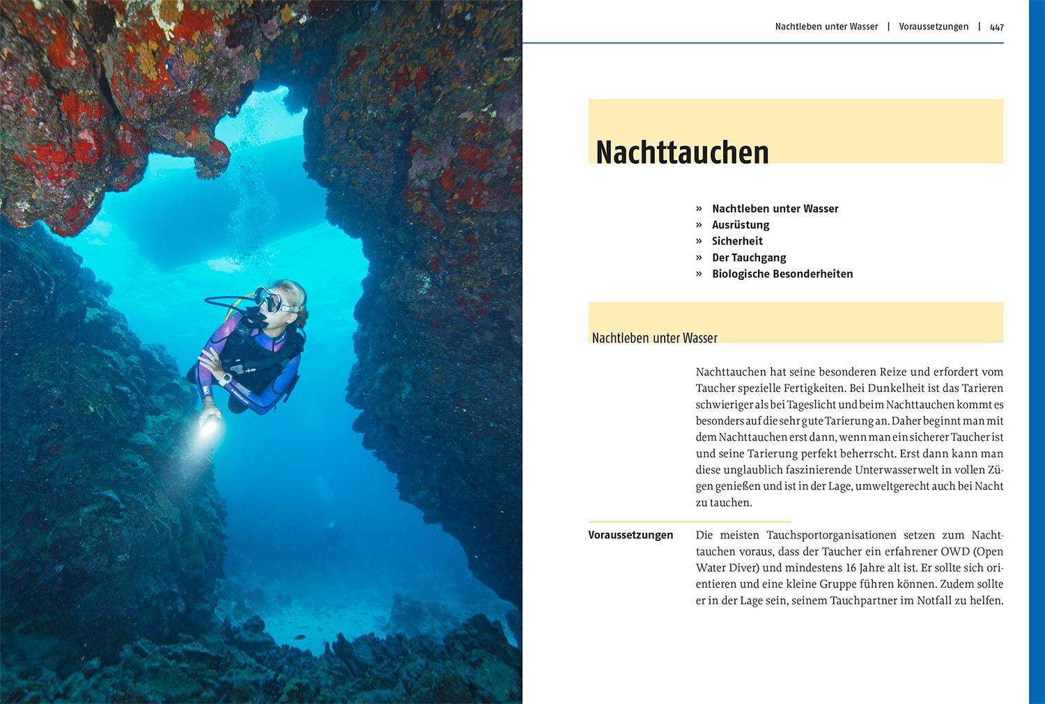 Beispielinhalt (Bild) Modernes Tauchen