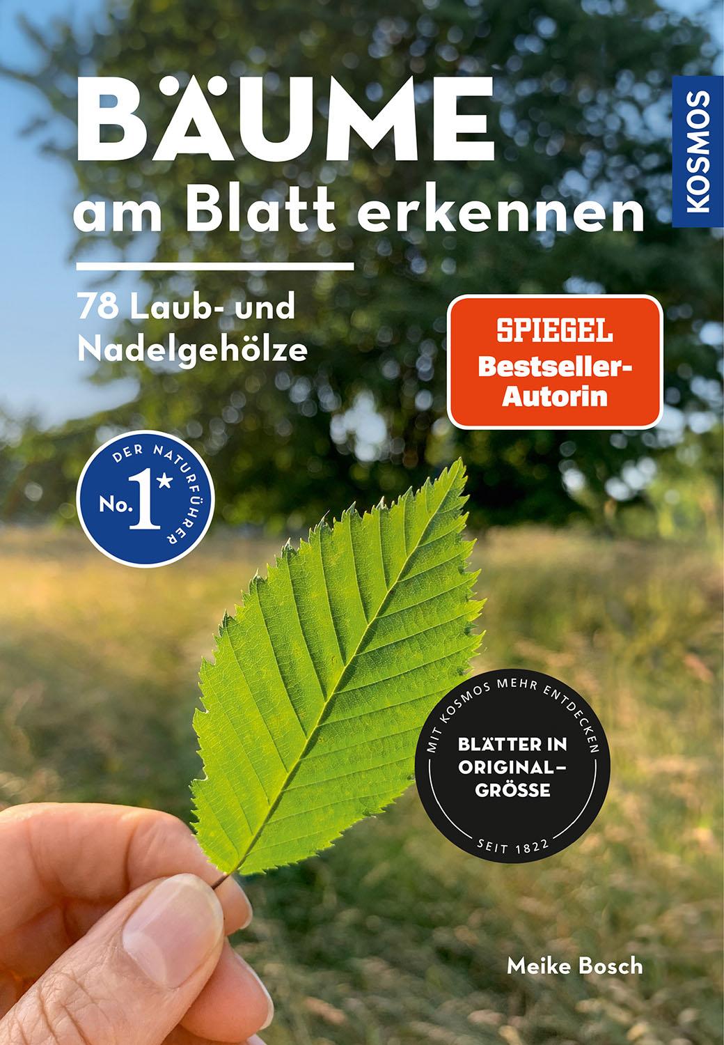 Vorderes Coverbild Bäume am Blatt erkennen - 78 Laub- und Nadelgehölze. Blätter in Originalgröße