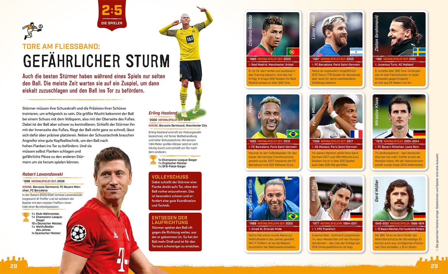 Beispielinhalt (Bild) Fußball