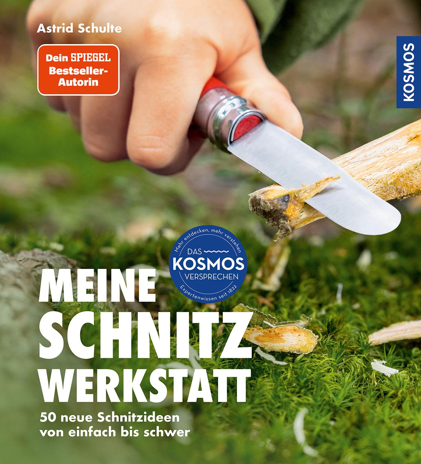 Vorderes Coverbild Meine Schnitzwerkstatt