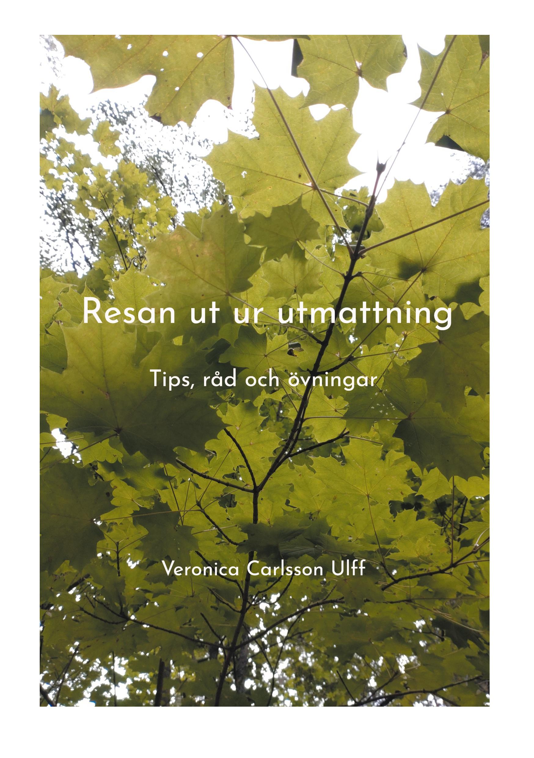Vorderes Coverbild Resan ut ur utmattning