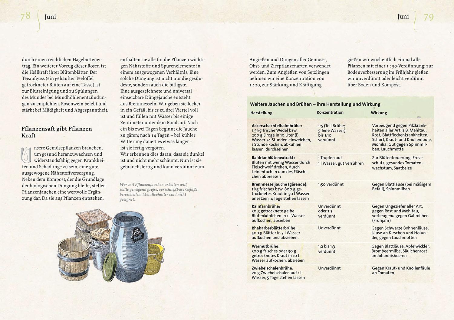 Beispielinhalt (Bild) Geheimnisse aus dem Klostergarten