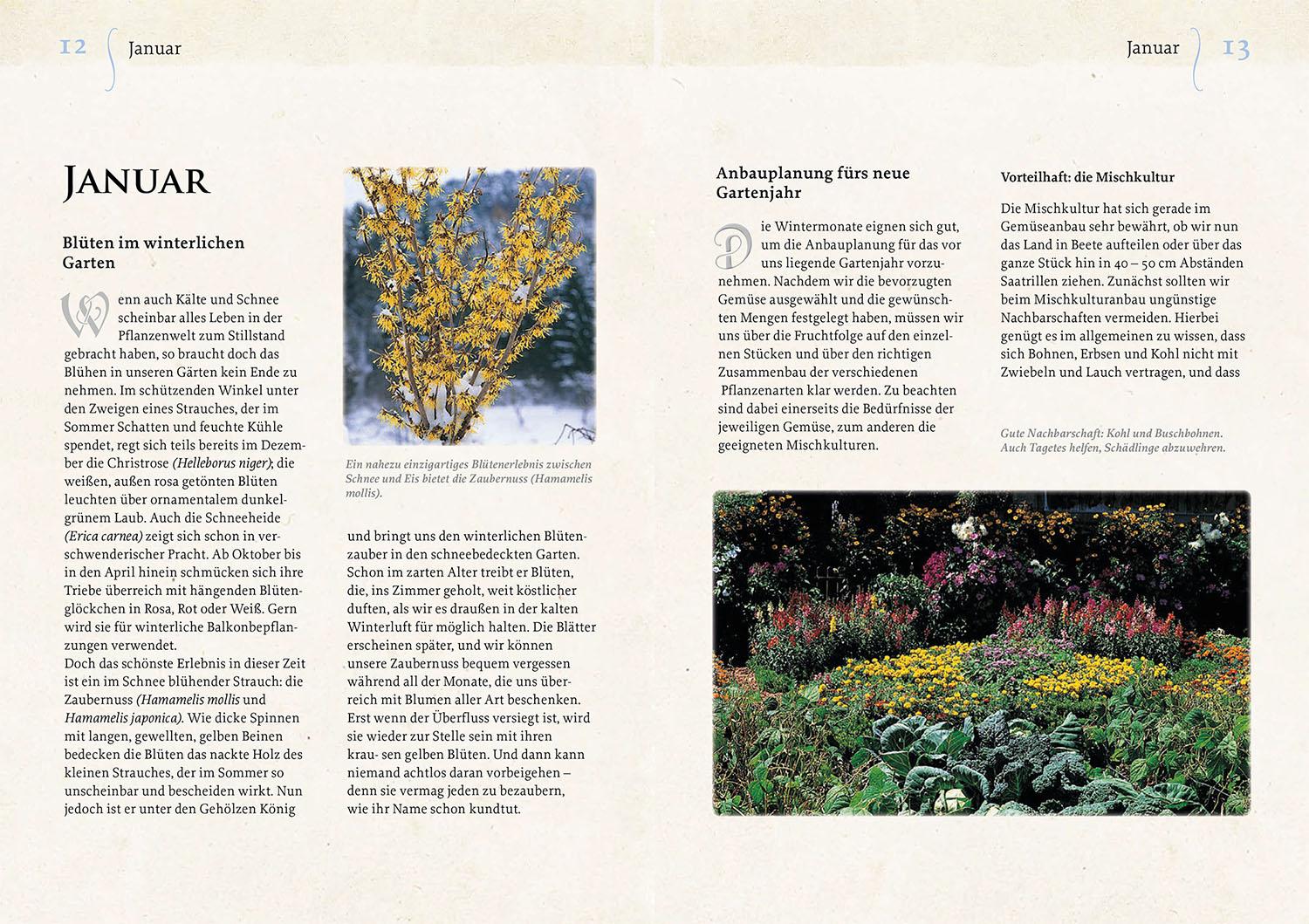 Beispielinhalt (Bild) Geheimnisse aus dem Klostergarten