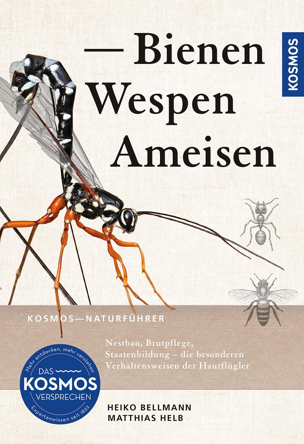 Vorderes Coverbild Bienen, Wespen, Ameisen