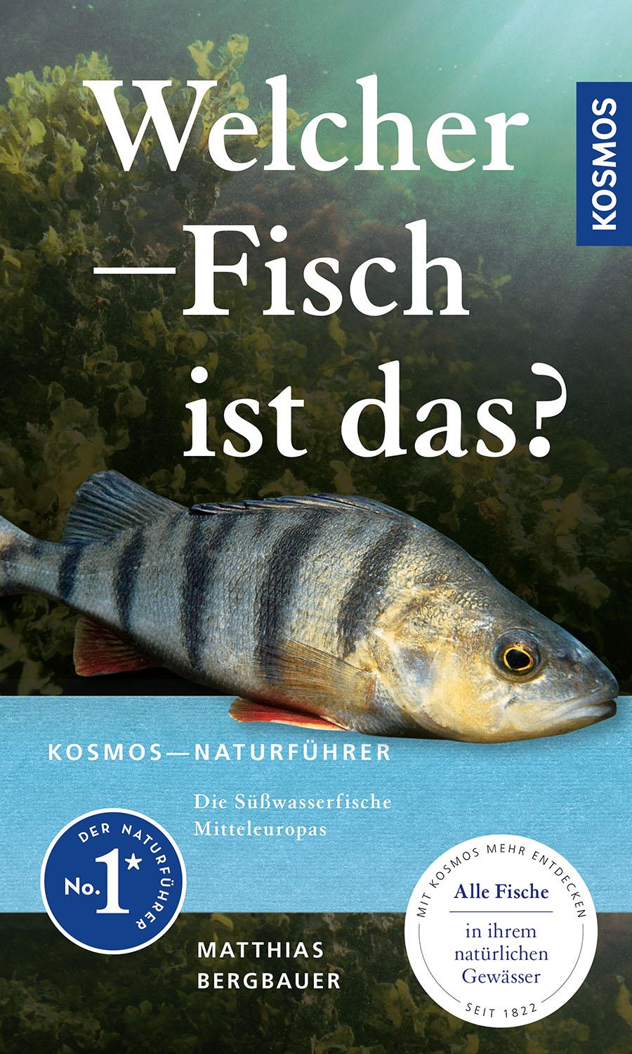 Vorderes Coverbild Welcher Fisch ist das?