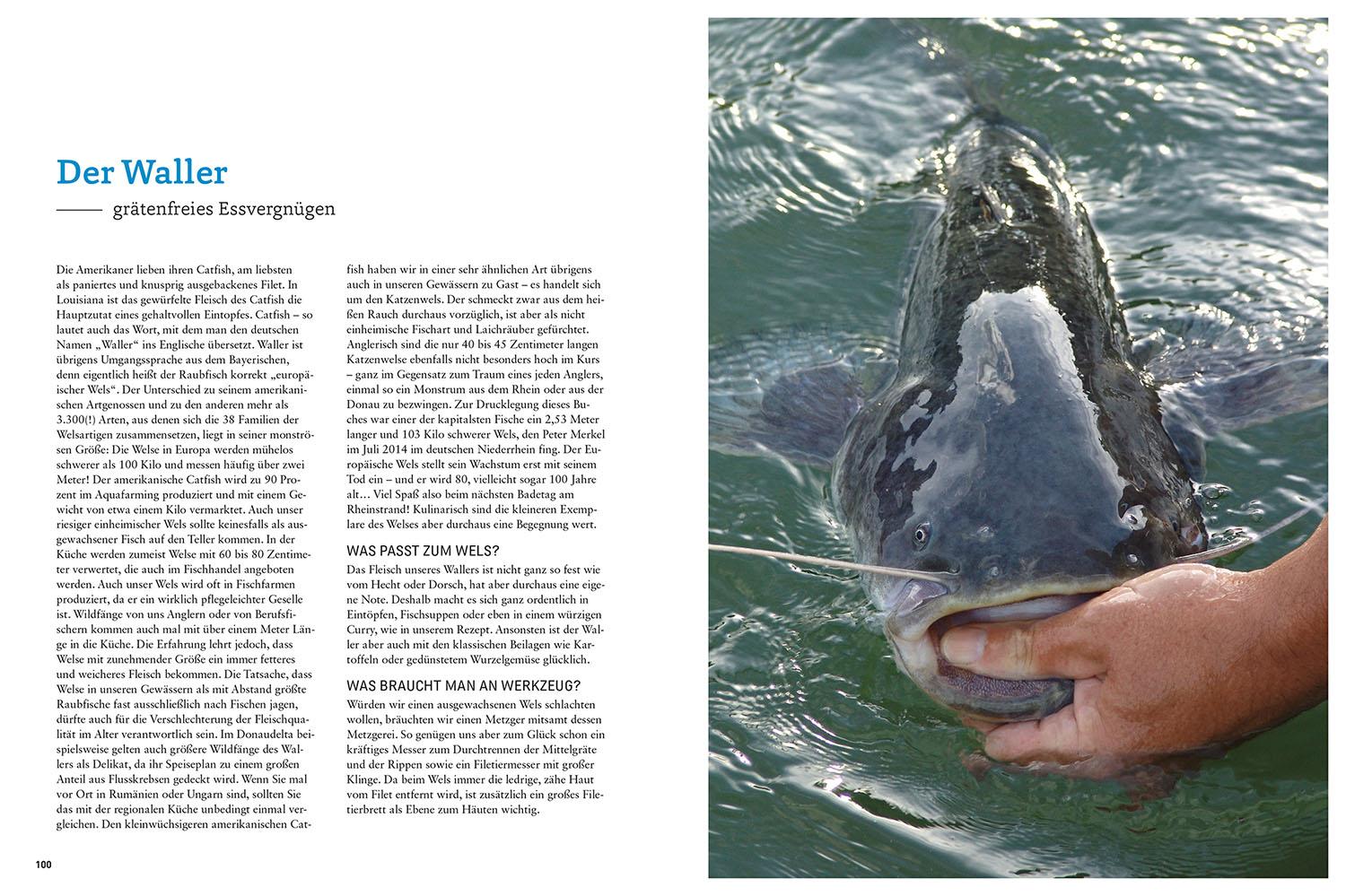 Beispielinhalt (Bild) Fischküche für Angler
