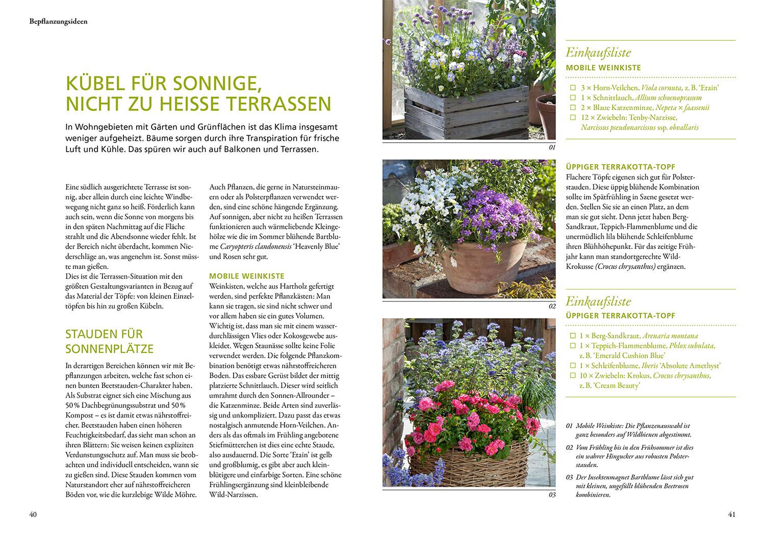 Beispielinhalt (Bild) Wilde Kübel