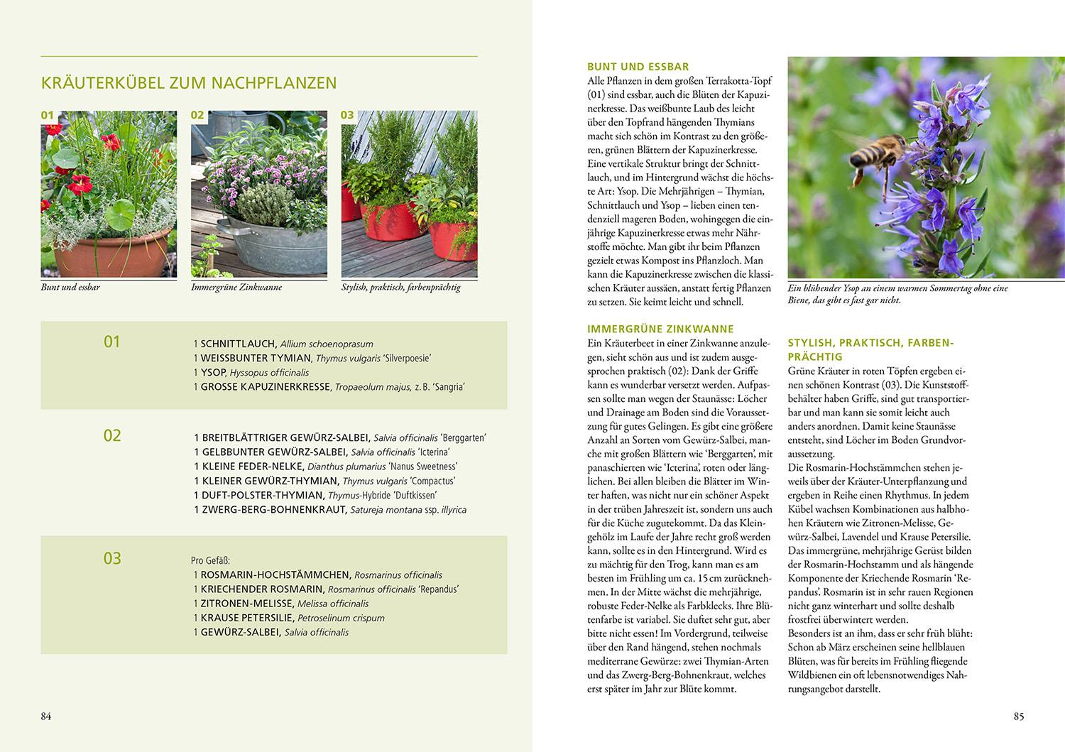 Beispielinhalt (Bild) Wilde Kübel