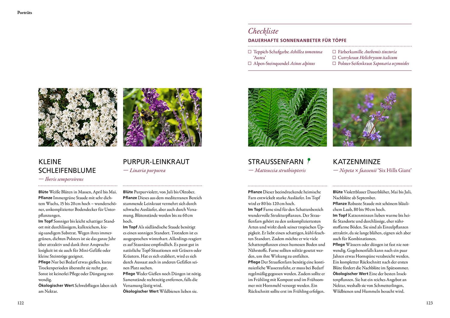 Beispielinhalt (Bild) Wilde Kübel