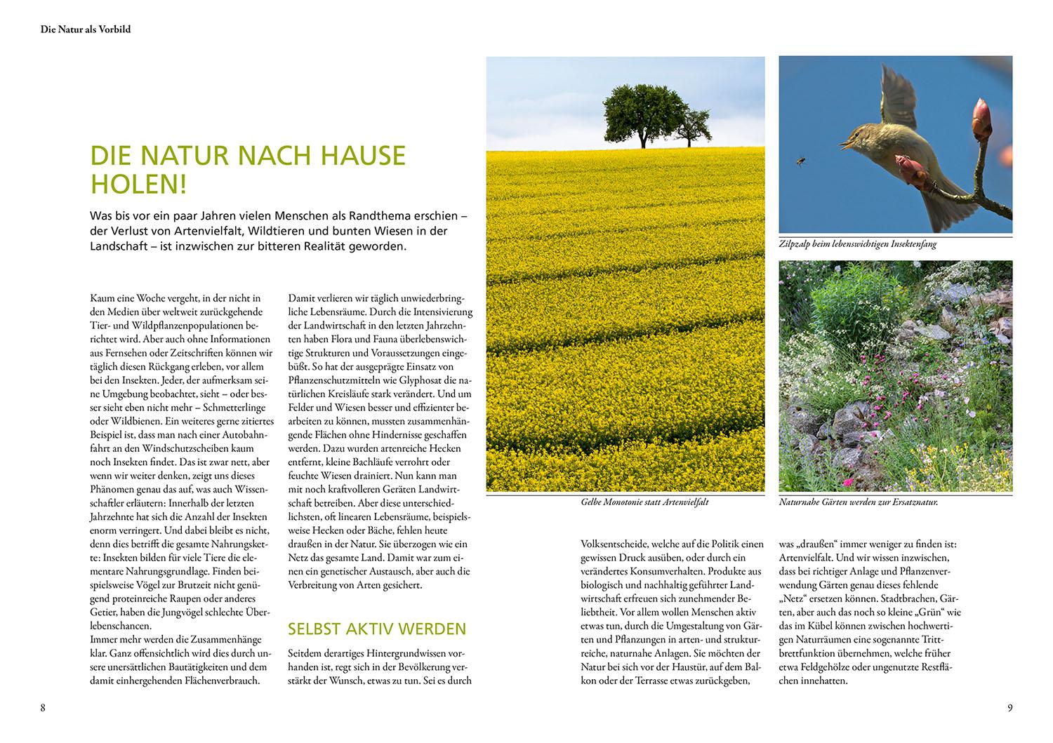 Beispielinhalt (Bild) Wilde Kübel