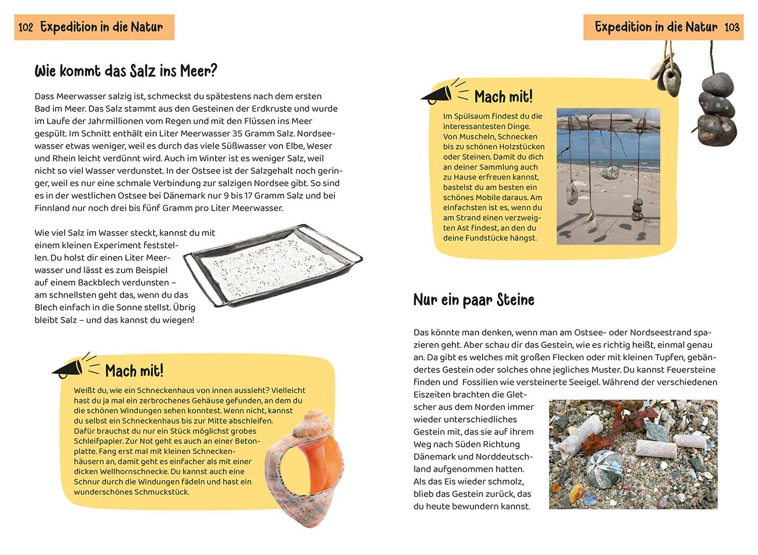 Beispielinhalt (Bild) Was lebt an Strand und Küste? Kindernaturführer