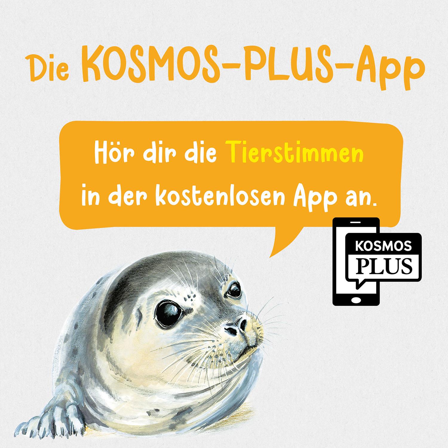 Beispielinhalt (Bild) Was lebt an Strand und Küste? Kindernaturführer