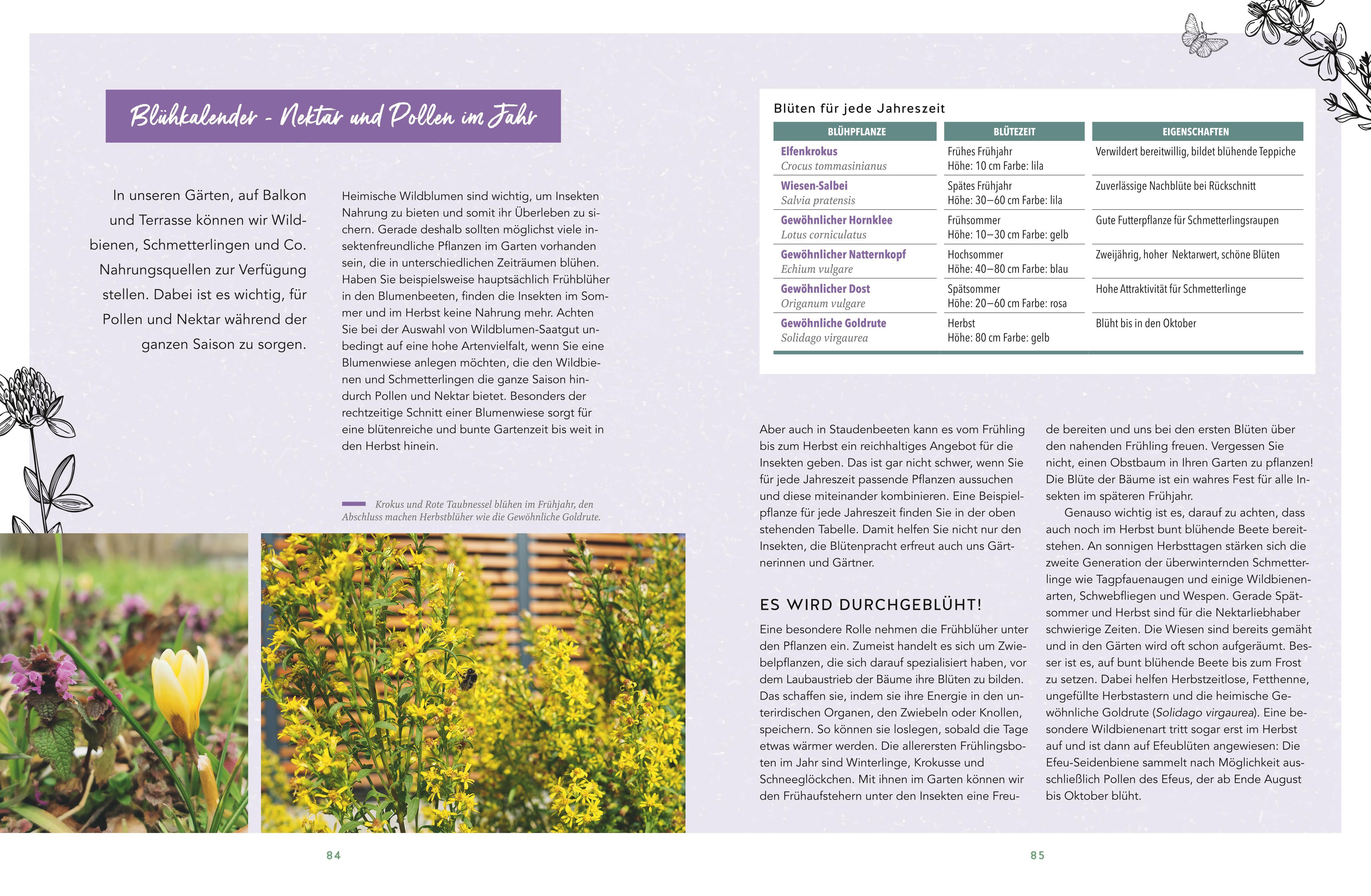 Beispielinhalt (Bild) Wilde Ecken für jeden Garten