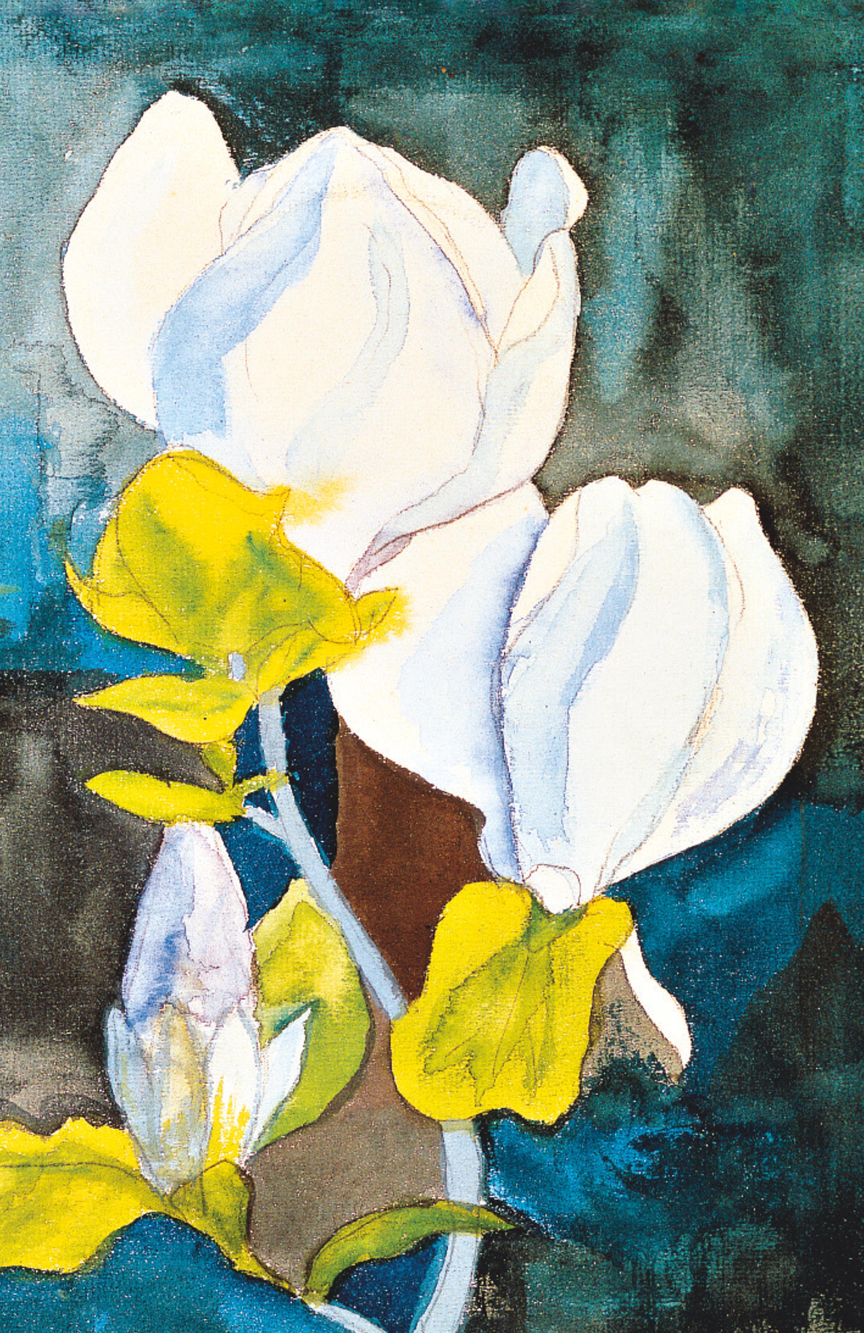 Rückseitencover Erinnerung an Hans