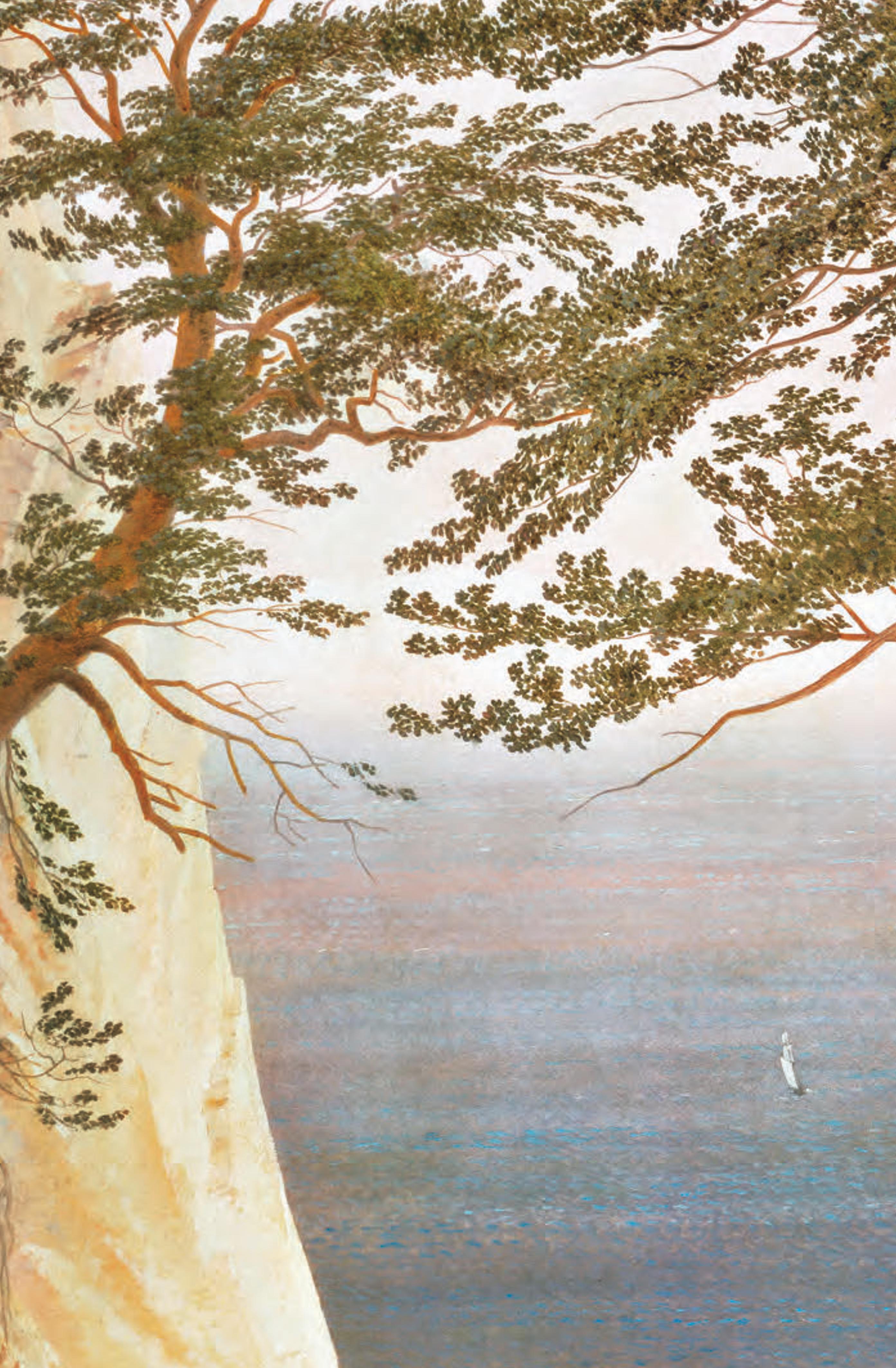 Rückseitencover Caspar David Friedrich und der weite Horizont