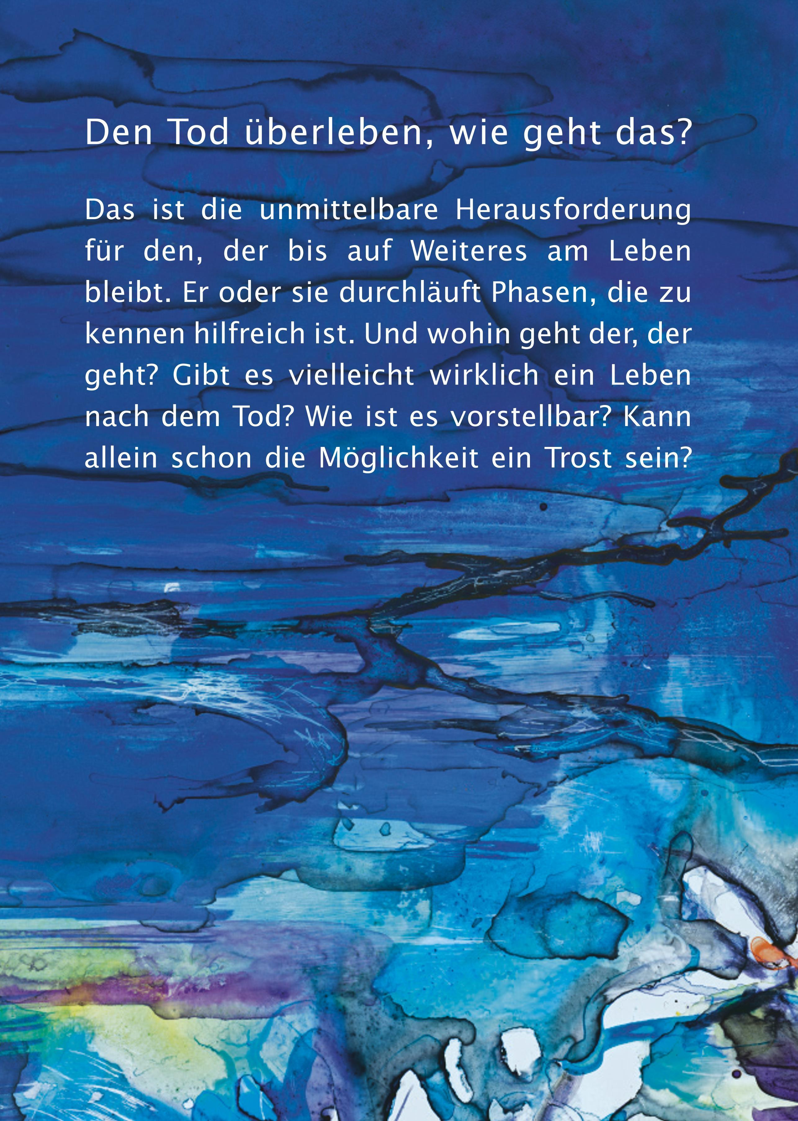 Rückseitencover Den Tod überleben