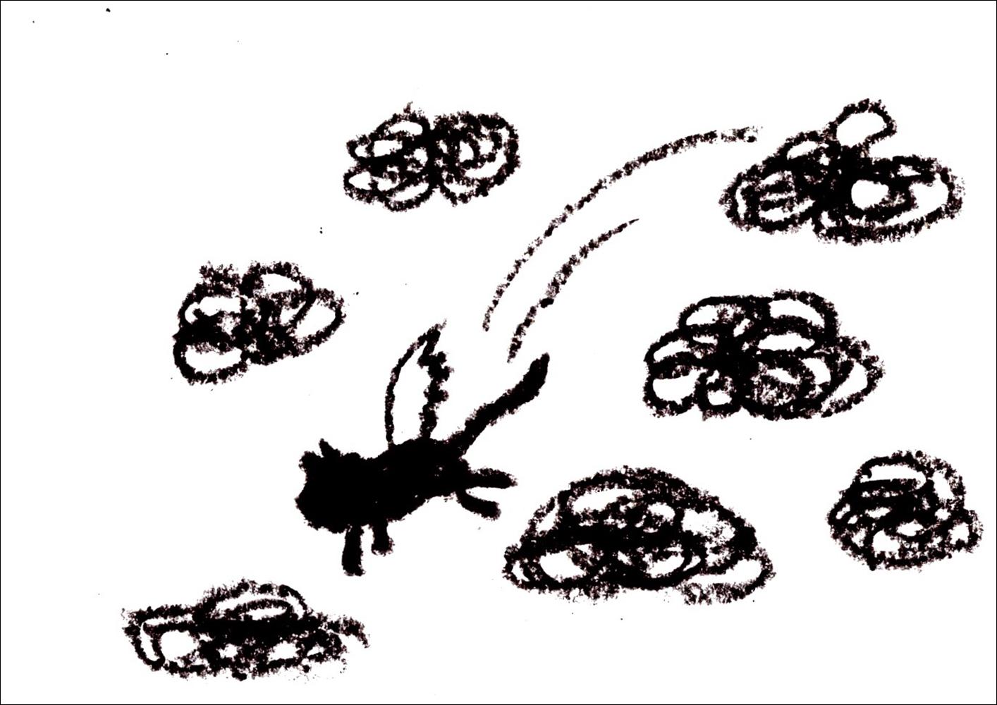 Beispielinhalt (Bild) Unsichtbare Katzen