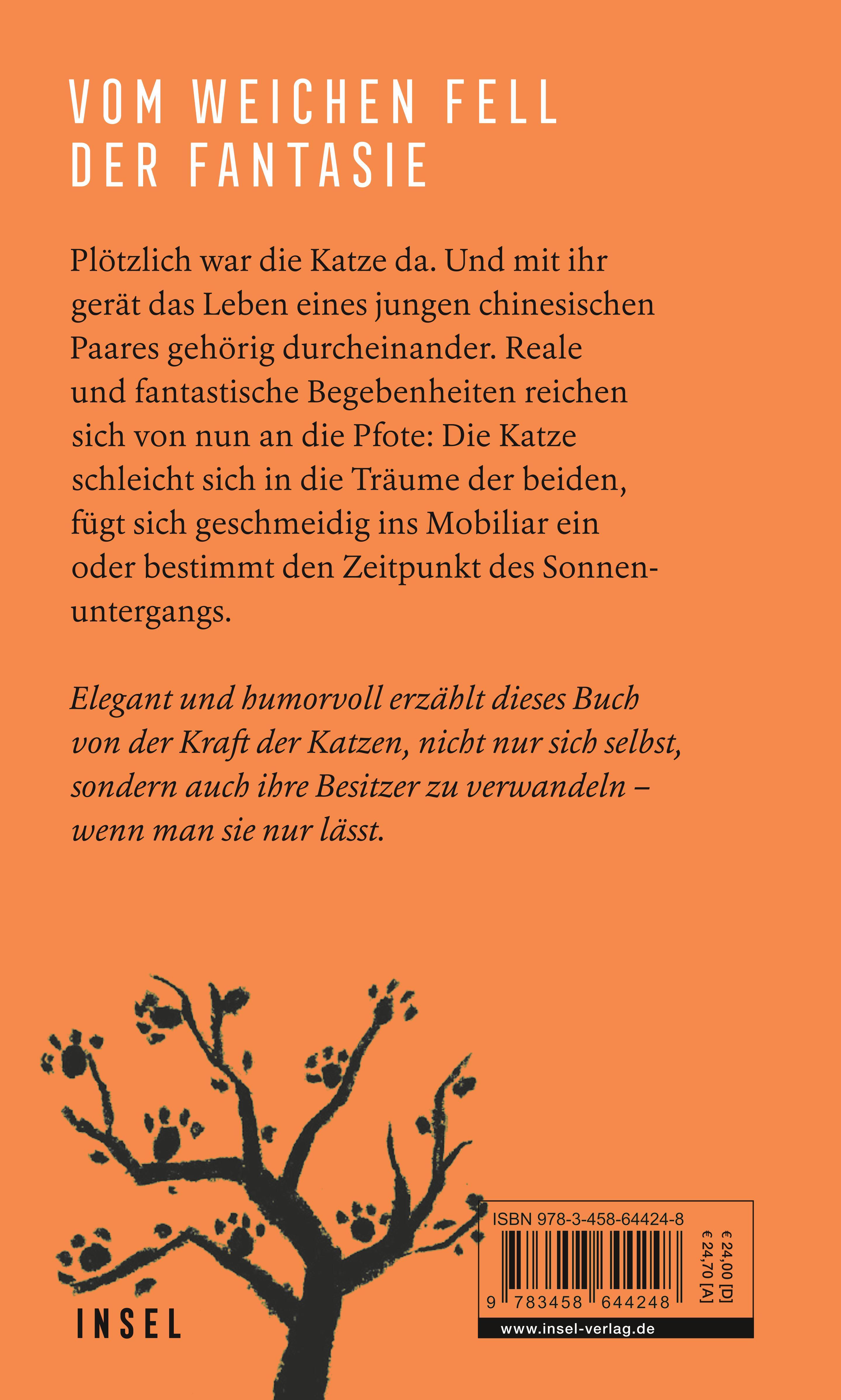 Rückseitencover Unsichtbare Katzen