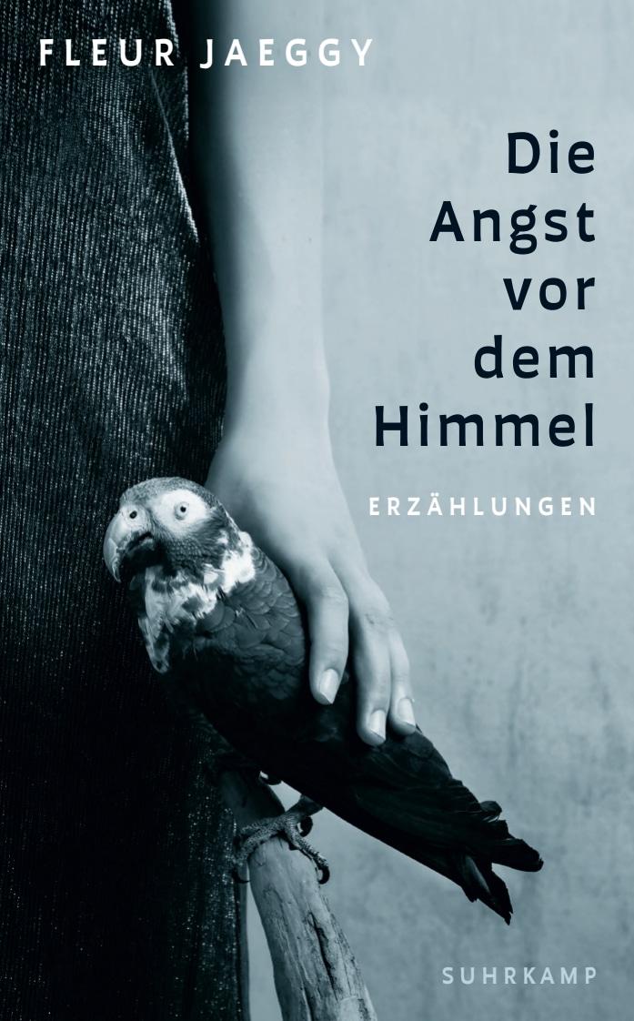 Vorderes Coverbild Die Angst vor dem Himmel