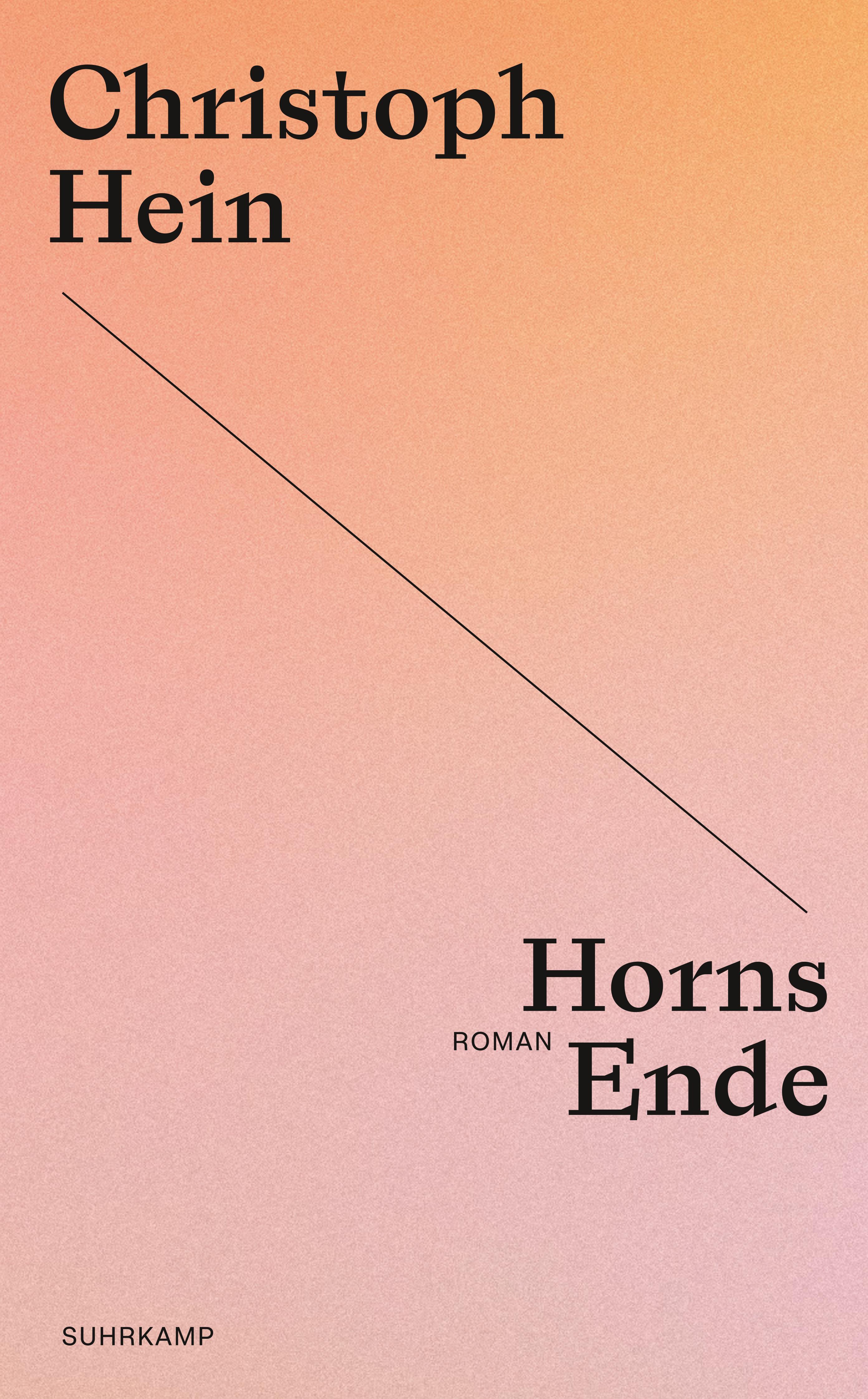 Vorderes Coverbild Horns Ende