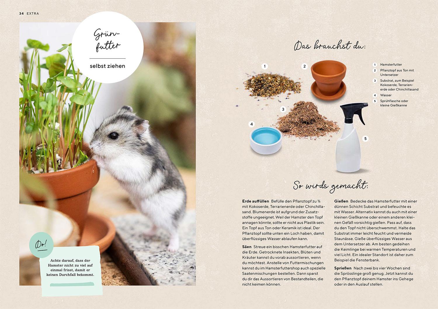 Beispielinhalt (Bild) Hamster