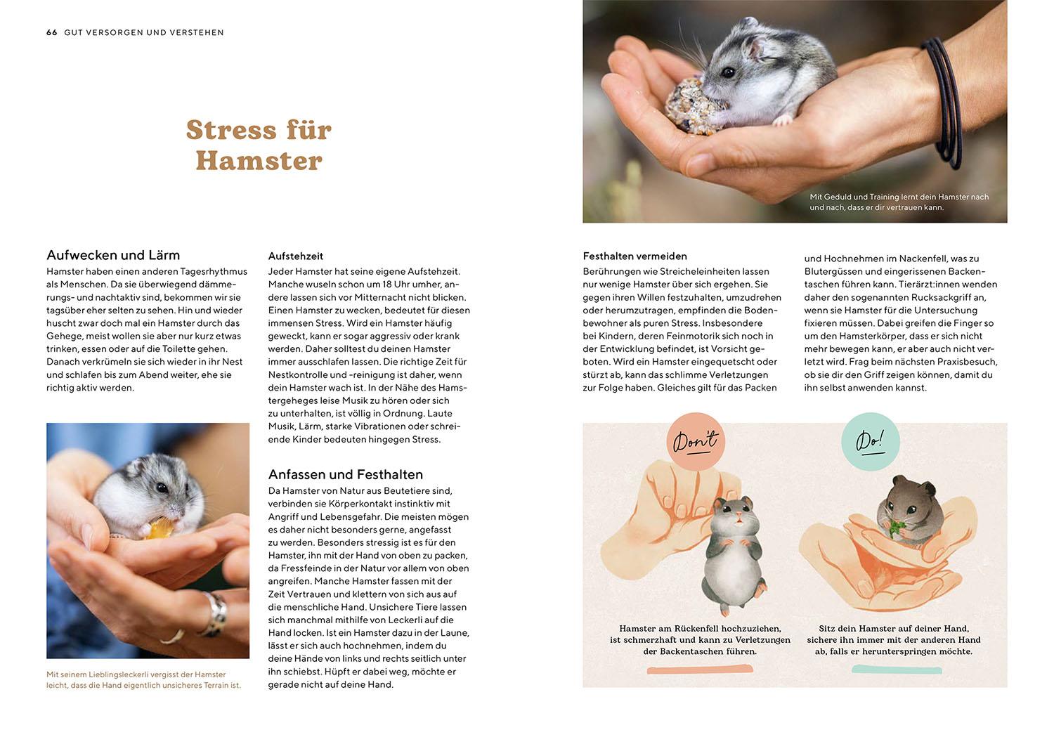 Beispielinhalt (Bild) Hamster