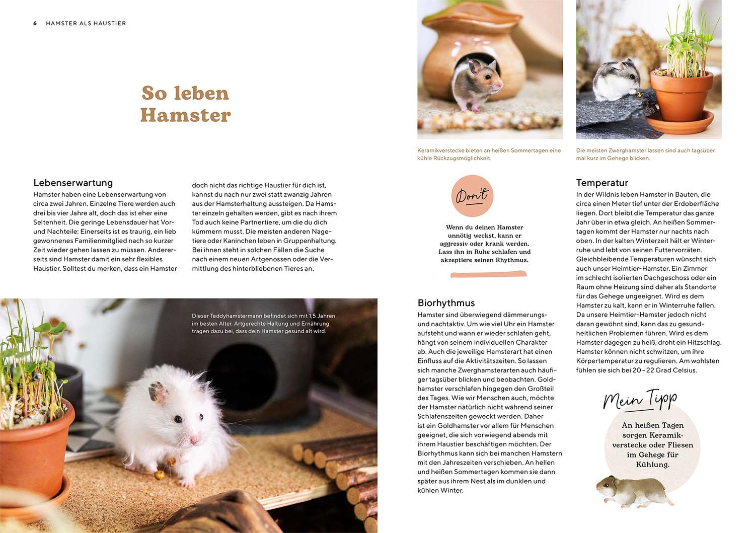 Beispielinhalt (Bild) Hamster