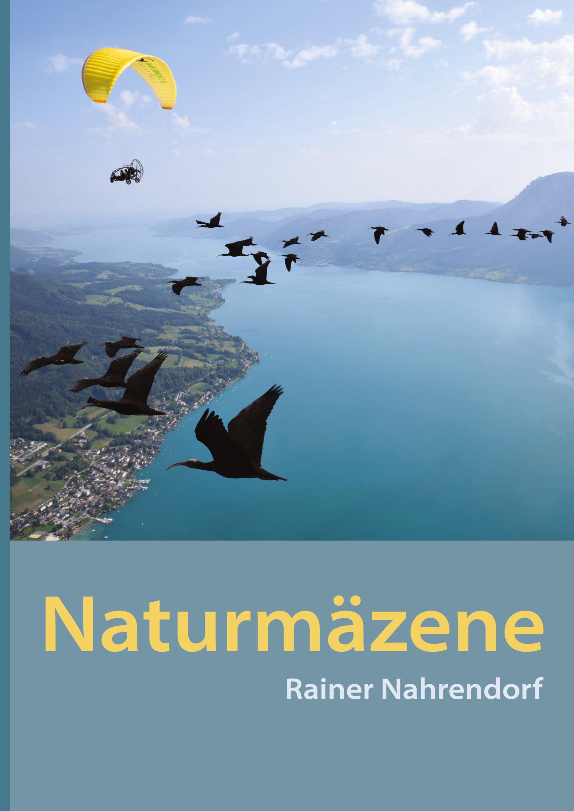 Vorderes Coverbild Naturmäzene