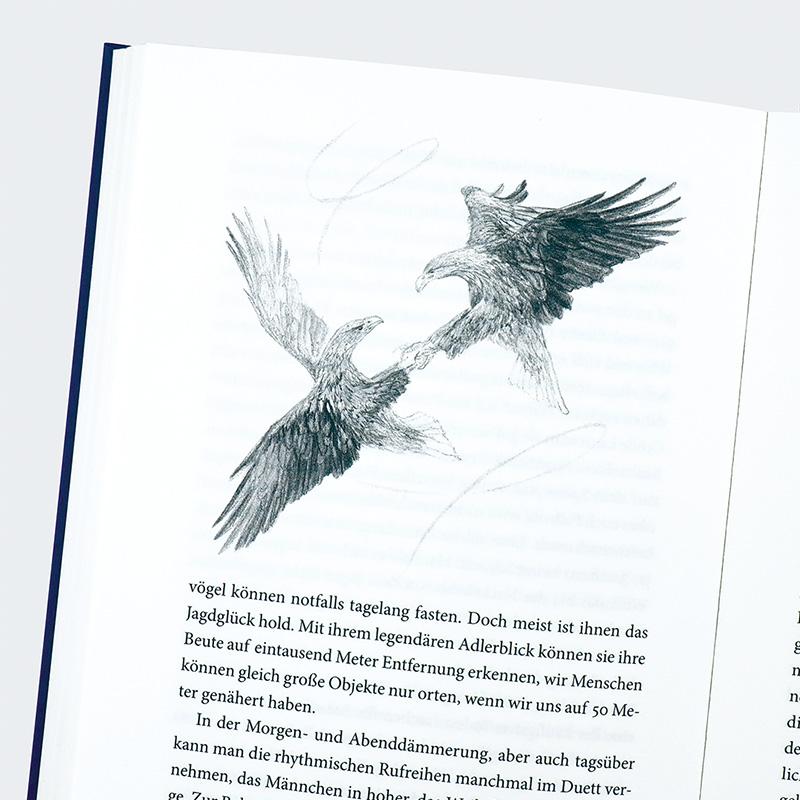 Beispielinhalt (Bild) Das Liebesleben der Vögel