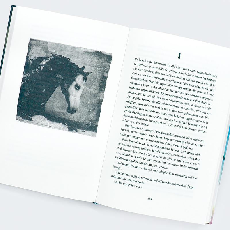 Beispielinhalt (Bild) Pony