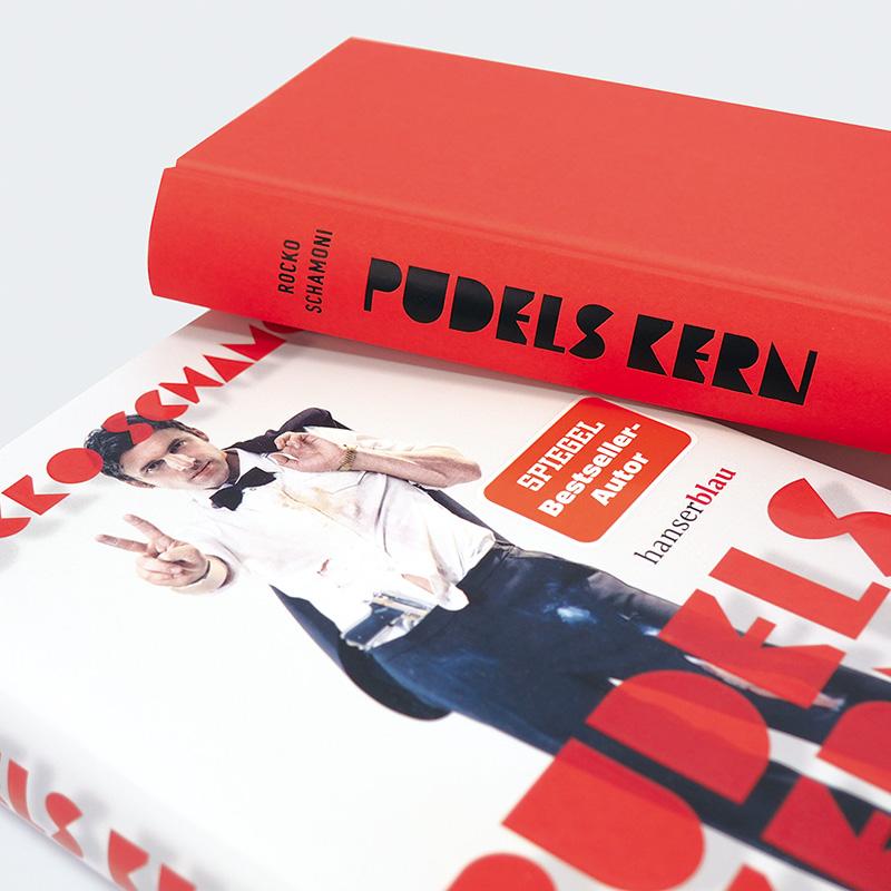 Beispielinhalt (Bild) Pudels Kern