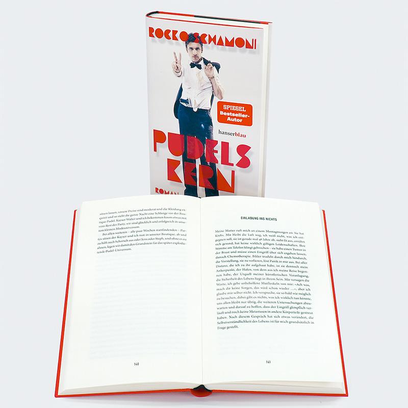 Beispielinhalt (Bild) Pudels Kern