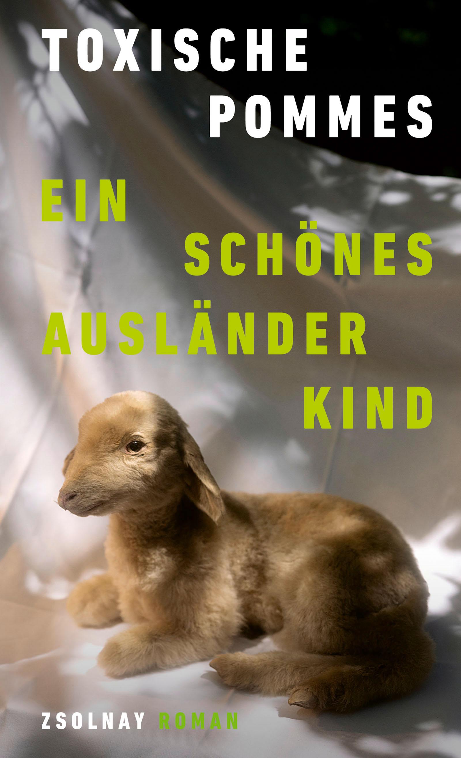 Vorderes Coverbild Ein schönes Ausländerkind