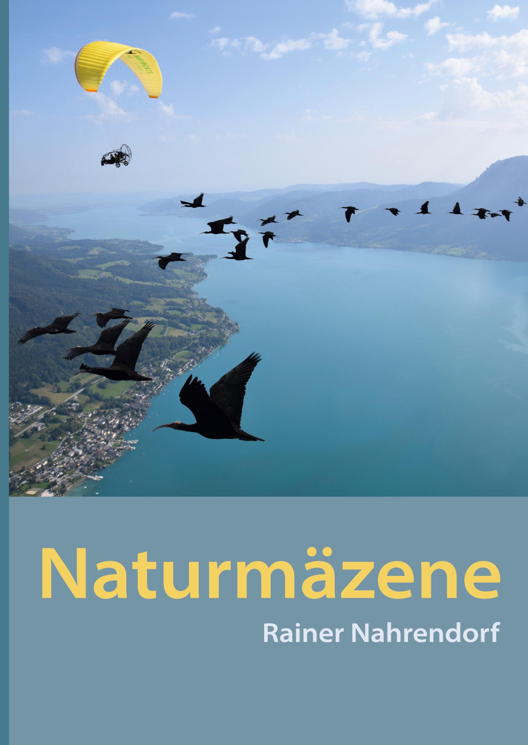 Vorderes Coverbild Naturmäzene