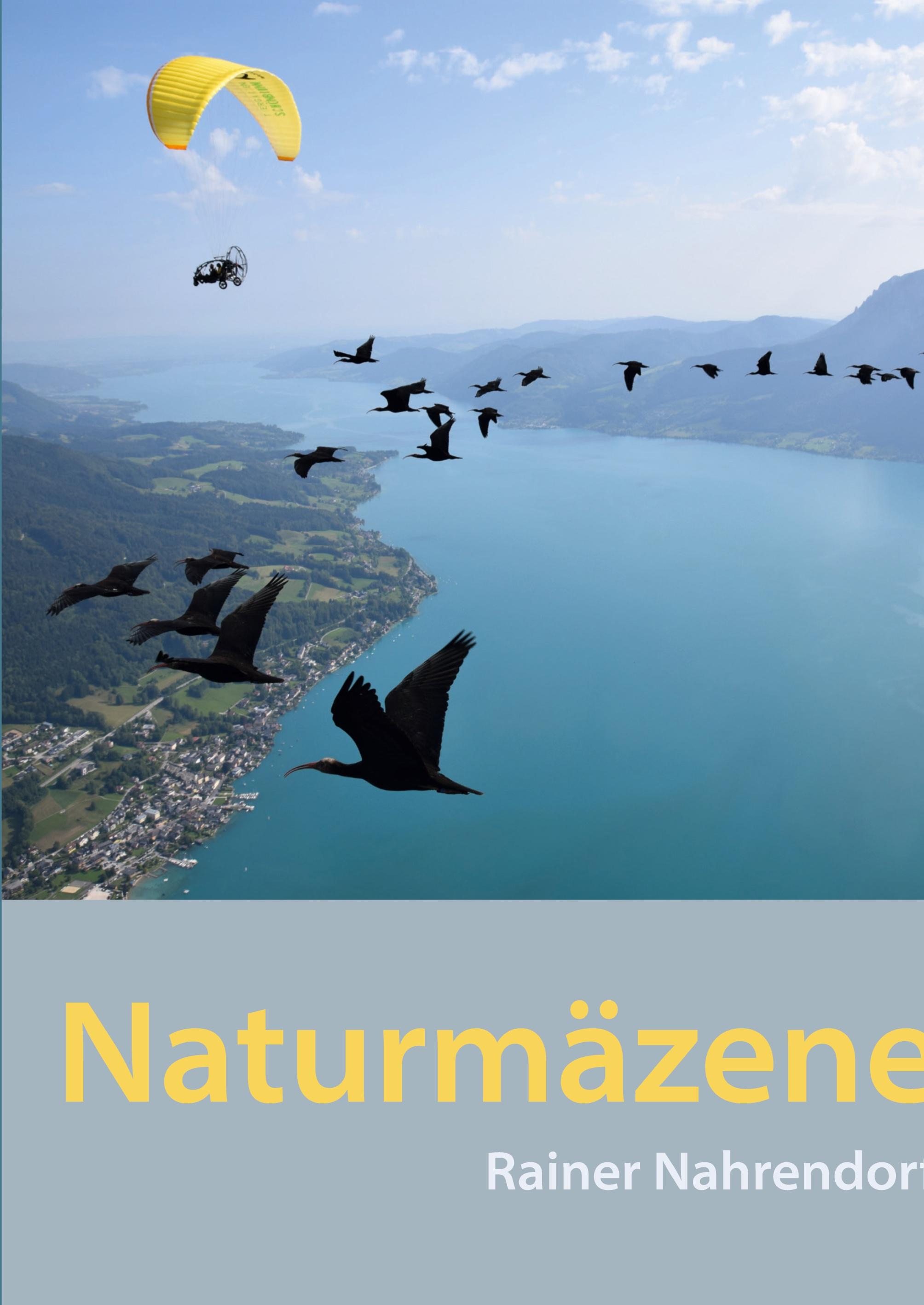 Vorderes Coverbild Naturmäzene
