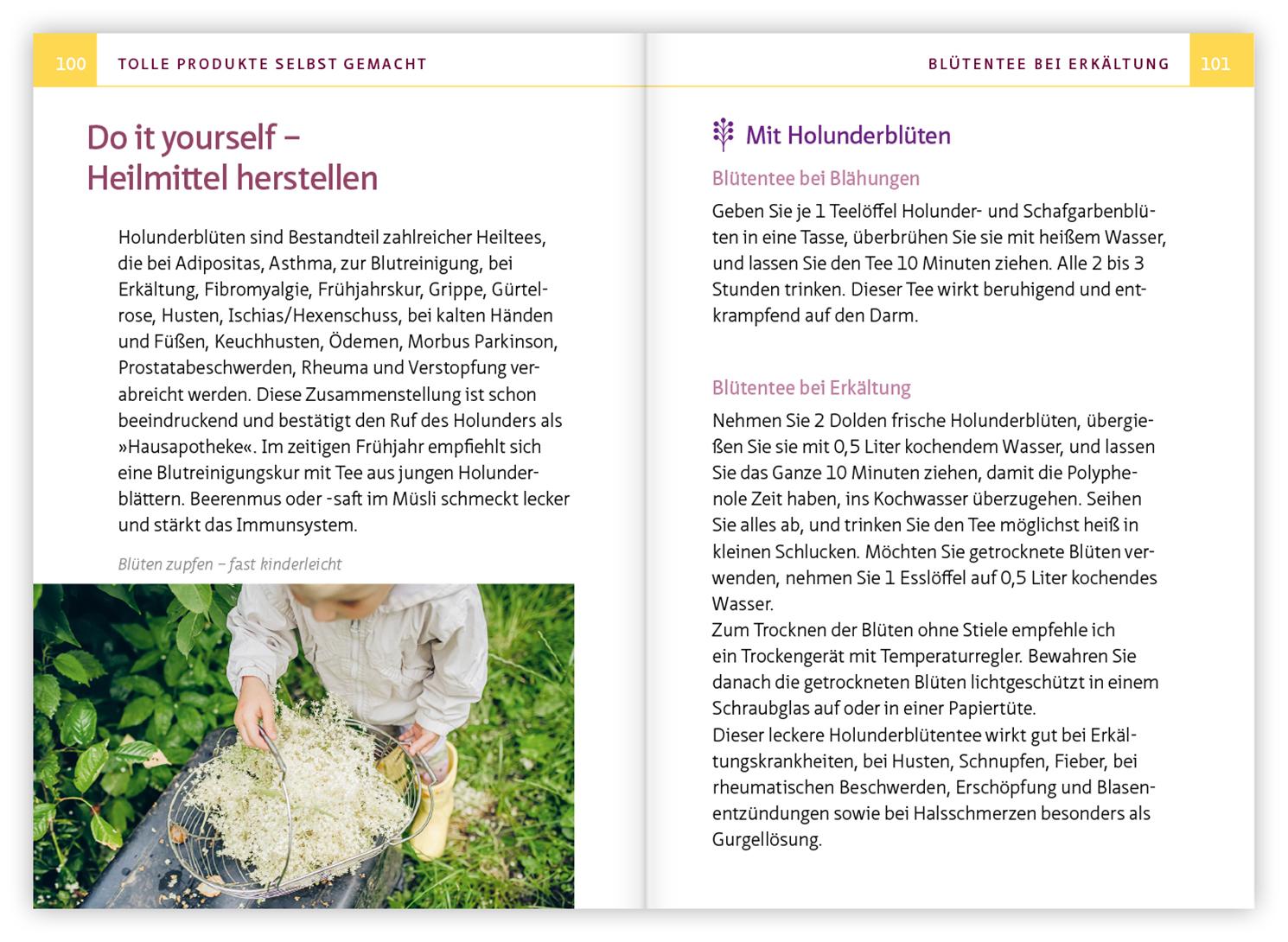 Beispielinhalt (Bild) Holunder - Juwel der Hausapotheke. Kompakt-Ratgeber