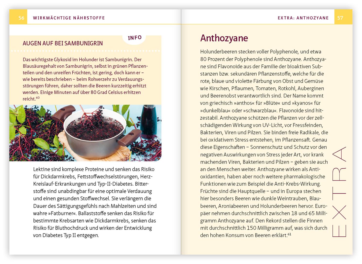 Beispielinhalt (Bild) Holunder - Juwel der Hausapotheke. Kompakt-Ratgeber