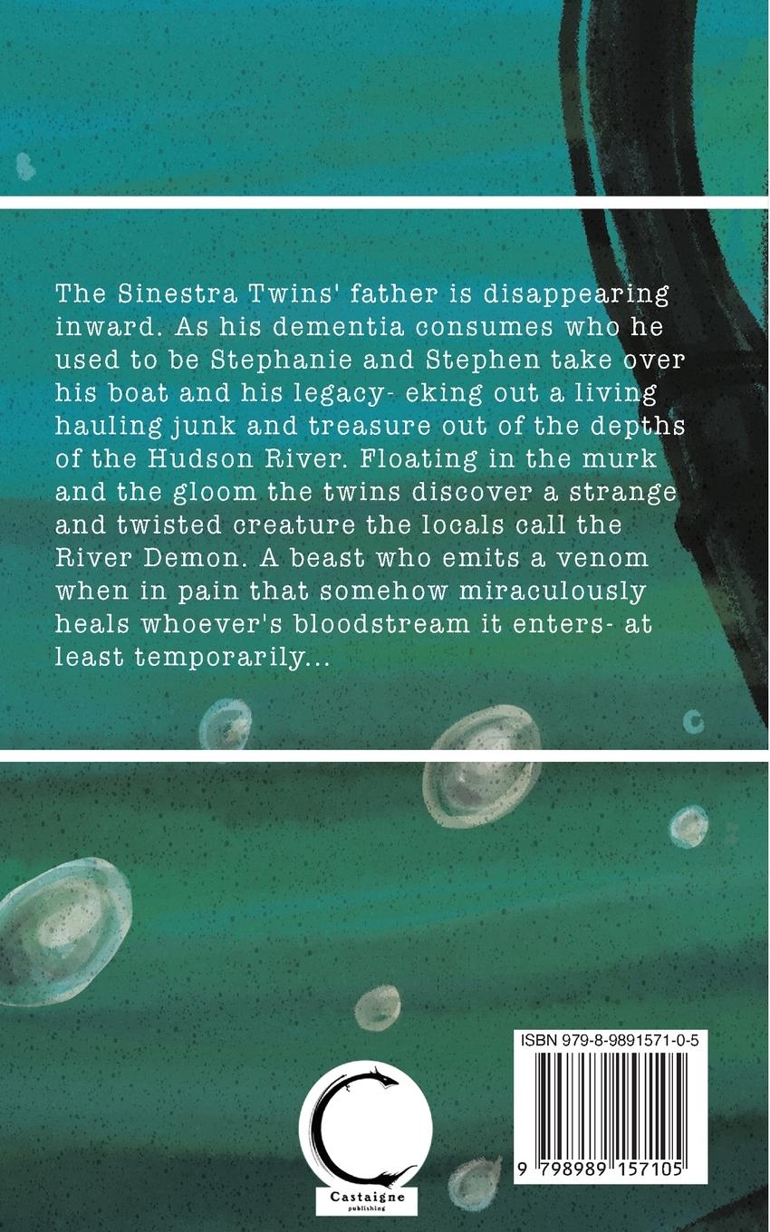 Rückseitencover A Diver, A Demon