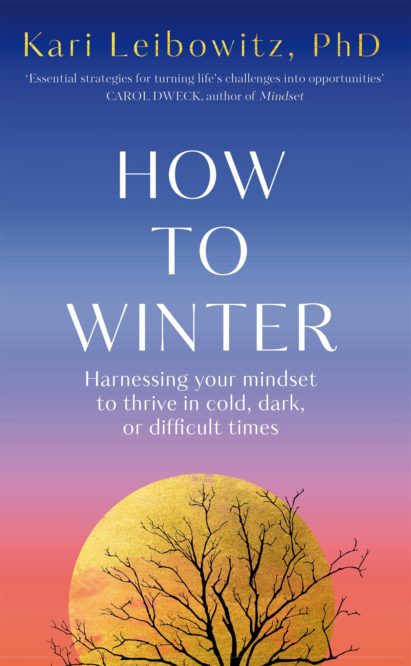 Vorderes Coverbild How to Winter